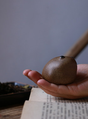 招财金蟾茶宠个性超萌可爱可养