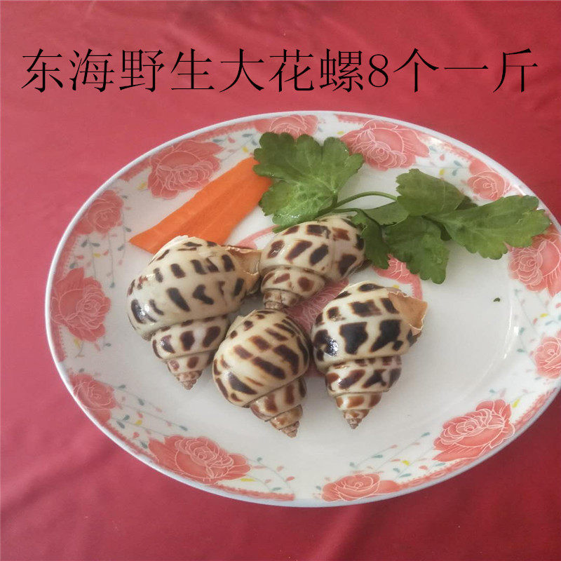 Fujian Seafood wild Snails 500g fresh Freezing Large Fresh Freezing Huangluo Babylonia Conchin the Aquatic meat/Fresh fruits and vegetables/Cooked , Seafood/Aquatic/Product , Shellfish , Shellfish Products  category - from Buy2taobao.com to provide professional Taobao agent buy service