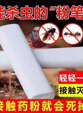 正品佳丽神奇药笔灭蟑螂粉笔强效一窝端灭杀跳蚤神器驱虫药粉