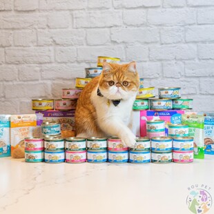 美国 唯美味Weruva Truluxe 无谷物低磷成幼猫补水主食罐头85g