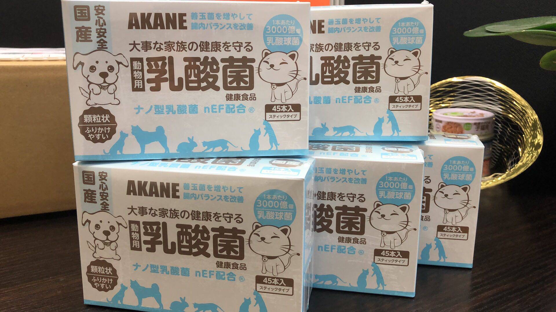 日本akane宠物猫狗肠道益生菌