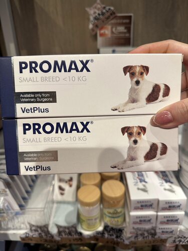 港购 英国原装 VetPlus Promax小型犬益生菌止瀉膏 9ml