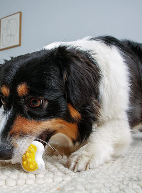 日本 Hartz哈氏宠物玩家狗狗磨牙棒扭扭骨中等咀嚼力中小型