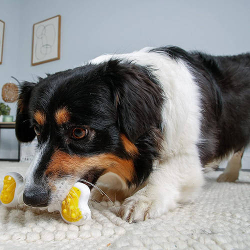 日本 Hartz哈氏宠物玩家狗狗磨牙棒扭扭骨中等咀嚼力中小型