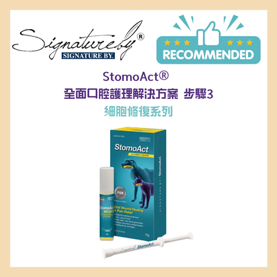 港购 韩国Signatureby  StomoAct細胞 修復系列 10g 清牙石