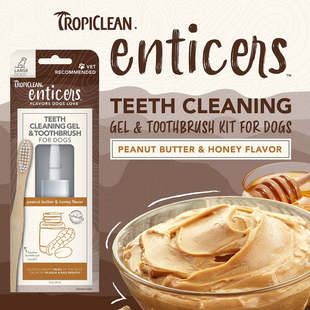 港购 美国Tropiclean蜂蜜花生醬味潔齒套裝