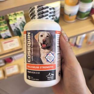 港购 美国Nutramax Cosequin 犬用關節保健強效+MSM 咀嚼片
