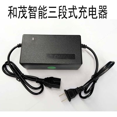 和茂电动车电瓶充电器12v24v36v48V新日爱玛雅迪超威通用