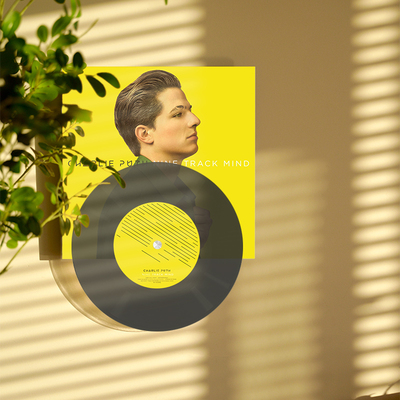 断眉 CP查理 Charlie Puth Nine Track Mind LP仿真黑胶唱片装饰