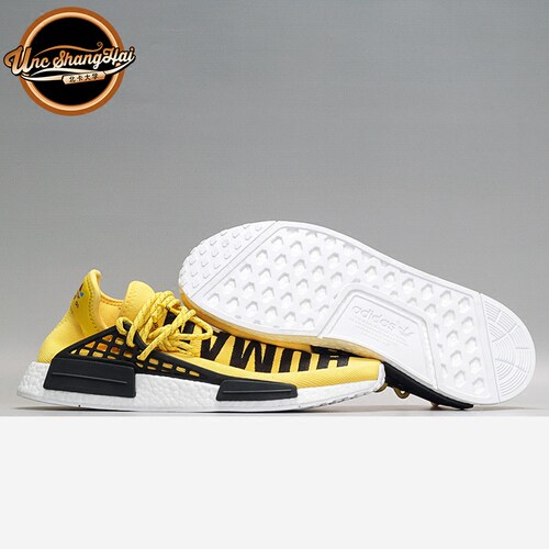 WilliamsHumanRace菲董