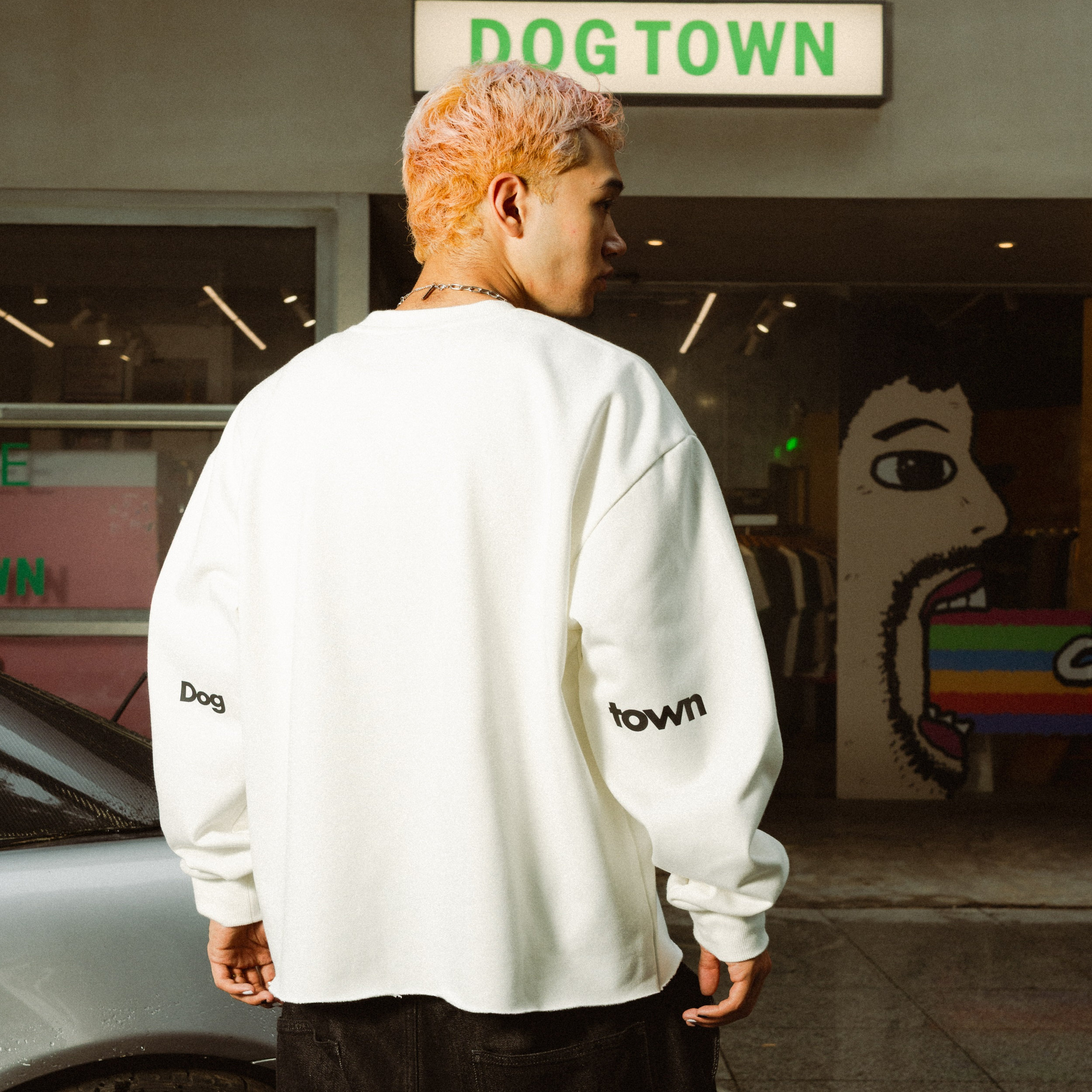 DOGTOWN 25FW BASIC ARM后臂字母LOGO基础百搭圆领套头卫衣
