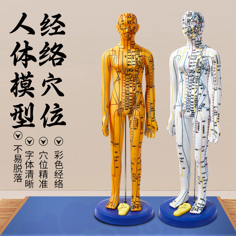 中医针灸穴位经络铜人模型可扎针