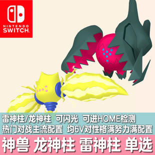 NS口袋妖怪宝可梦HOME朱紫剑盾精灵交换闪光雷神柱龙神柱6V雷吉