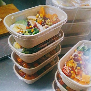 环保打包盒纸浆碗餐具可降解外卖快餐盒850ml单双格一次性沙拉盒