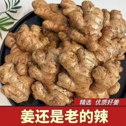 老姜生姜老姜母黄姜现挖老黄姜土姜母姜月子姜黄姜新鲜蔬菜包邮