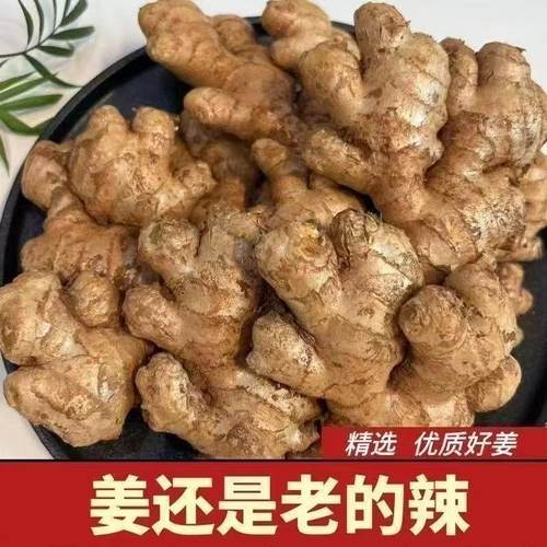 老姜生姜老姜母黄姜现挖老黄姜土姜母姜月子姜黄姜新鲜蔬菜包邮