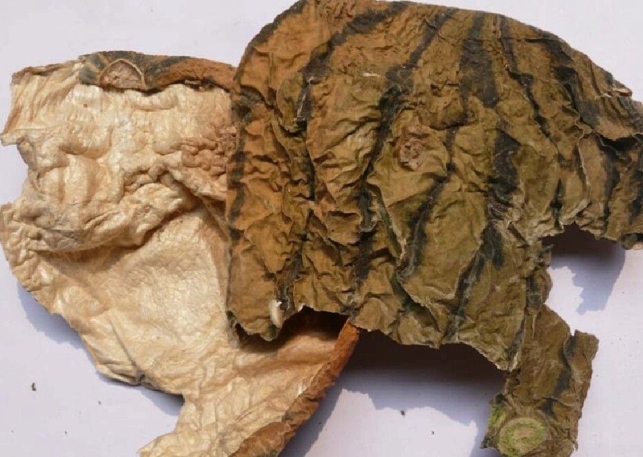 西瓜皮 干西瓜皮 中草药西瓜皮 西瓜绿衣 西瓜青 500g包邮