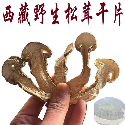 100克仅售160元包邮 松茸  西藏林芝纯野生松茸 松茸干片