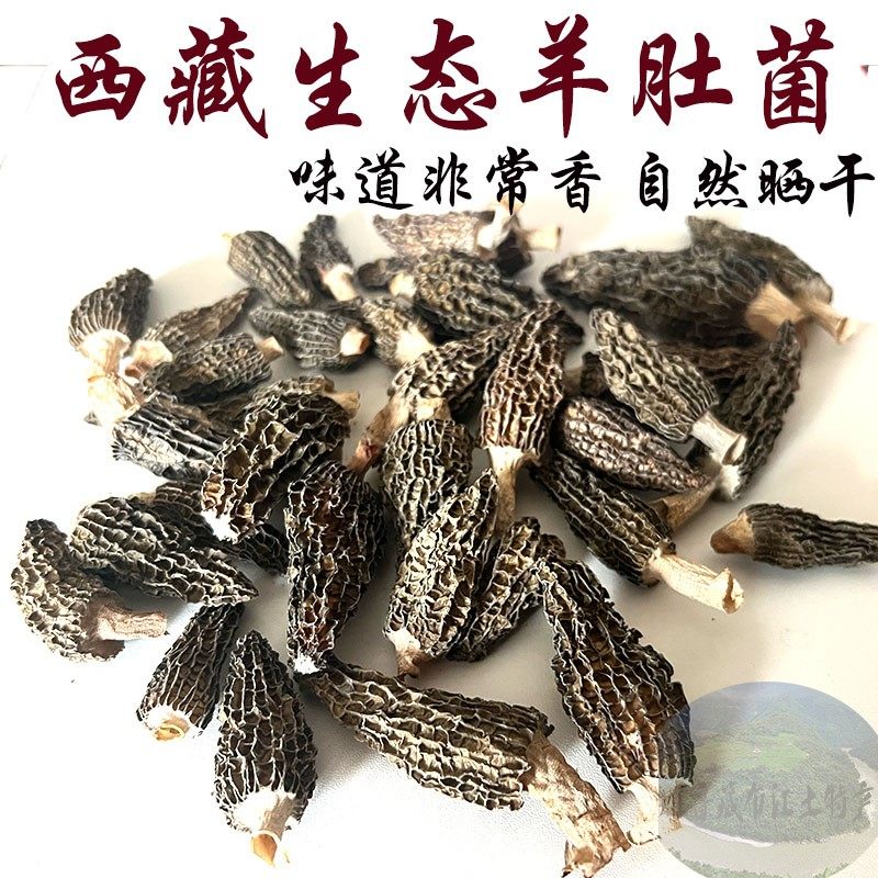 西藏直发100克包邮 羊肚菌干货官方旗舰店 西藏羊肚菌 羊肚菌干货