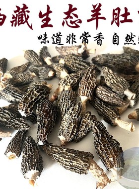 西藏直发100克包邮 羊肚菌干货官方旗舰店 西藏羊肚菌 羊肚菌干货