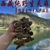 天麻野生特级 250克野生藏天麻 西藏林芝产野生天麻 可以打粉