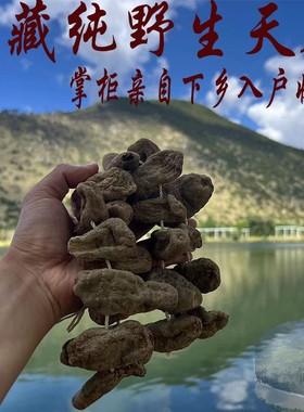 250克野生藏天麻 西藏林芝产野生天麻 天麻野生特级  可以打粉