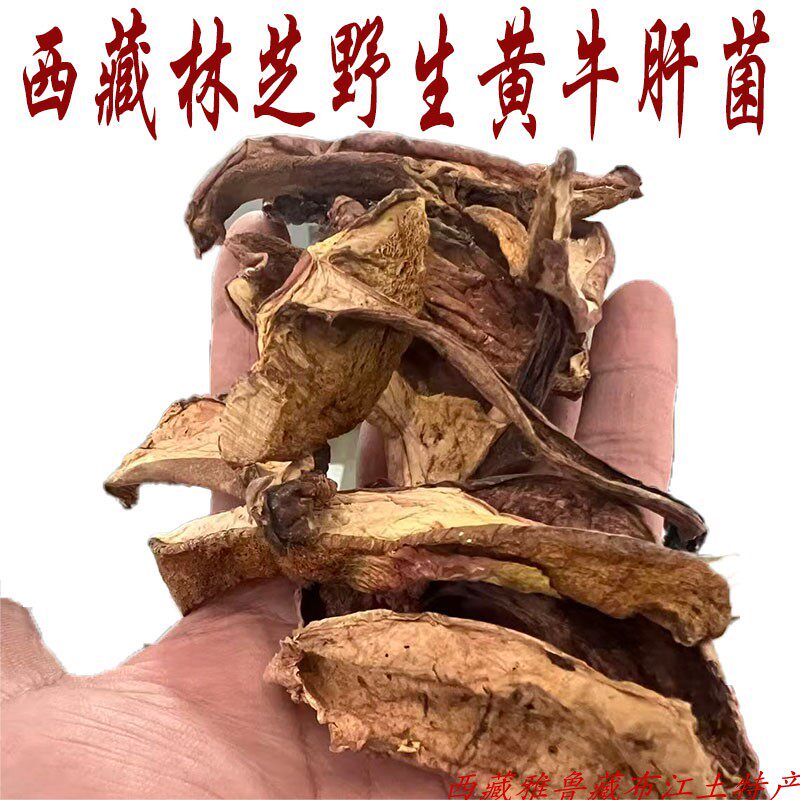 250克包邮 西藏林芝产出野生黄牛肝菌 黄牛肝 牛肝菌 烧罐头佳品