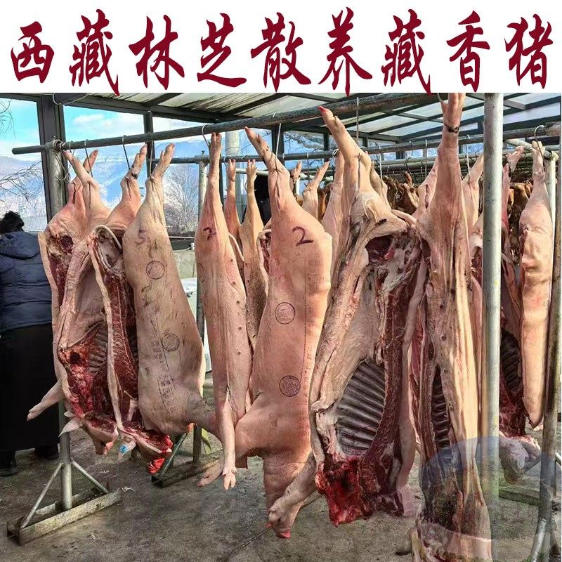 西藏顺丰航空包邮 藏香猪 半头起售 15-30kg/头48.8元/斤新鲜猪肉,水产肉类/新鲜蔬果/熟食,生猪肉,淘宝优惠券,粉丝福利购,淘宝优惠卷