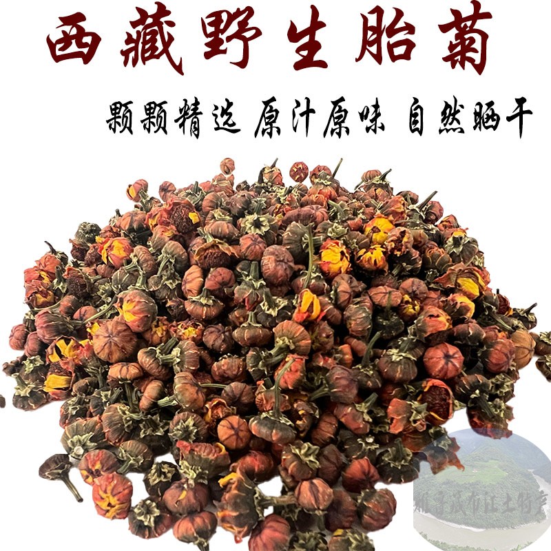 西藏直发 250克 西藏野生胎菊 藏胎菊 精选胎菊 香味浓郁