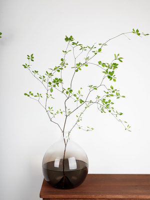 渐变色山归来写意花瓶日本吊钟专用高档花瓶可插大芍药马醉木绣球 虎窝淘