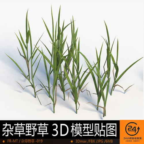 杂草野草-019模型3DMAX环境效果图影视游戏次世代场景地形建模