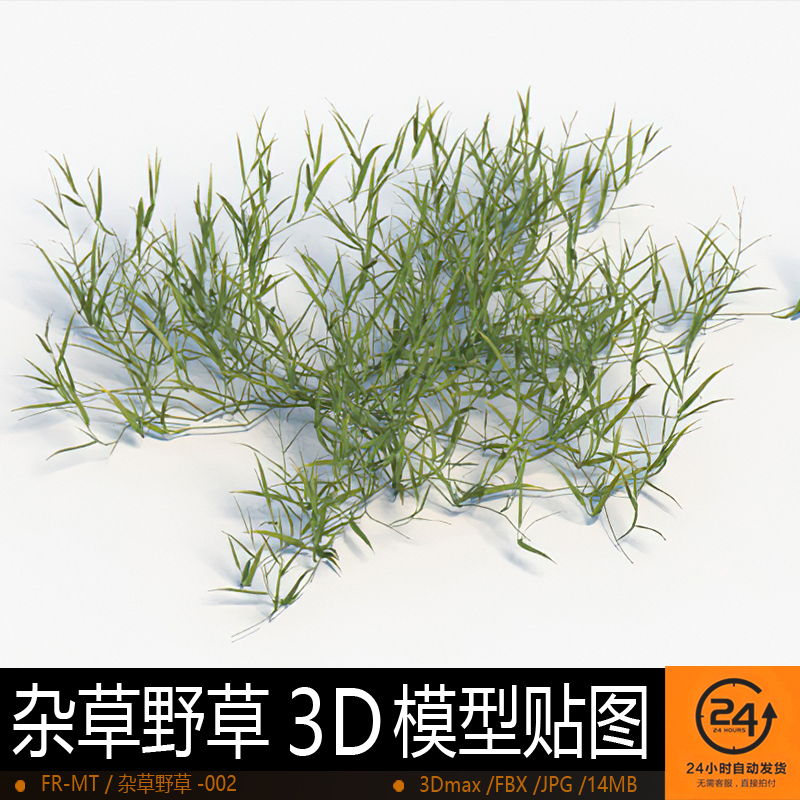 杂草野草-002模型3DMAX环境效果图影视游戏次世代场景地形建模