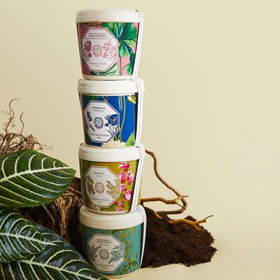 植物学家自然法国可回收环保蜡烛