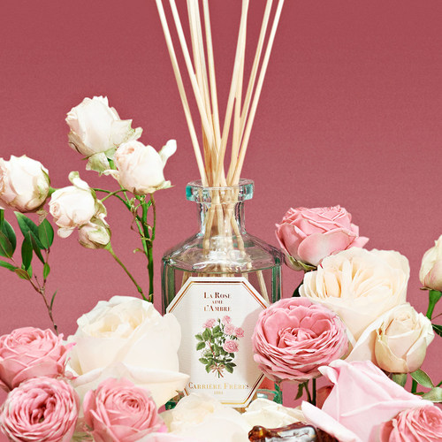 法国植物学家7年品牌代理