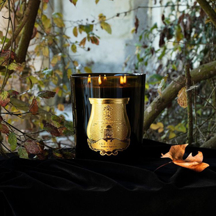 法国Trudon楚敦授权大号香薰家居香氛蜡烛Cire CT乔迁礼物