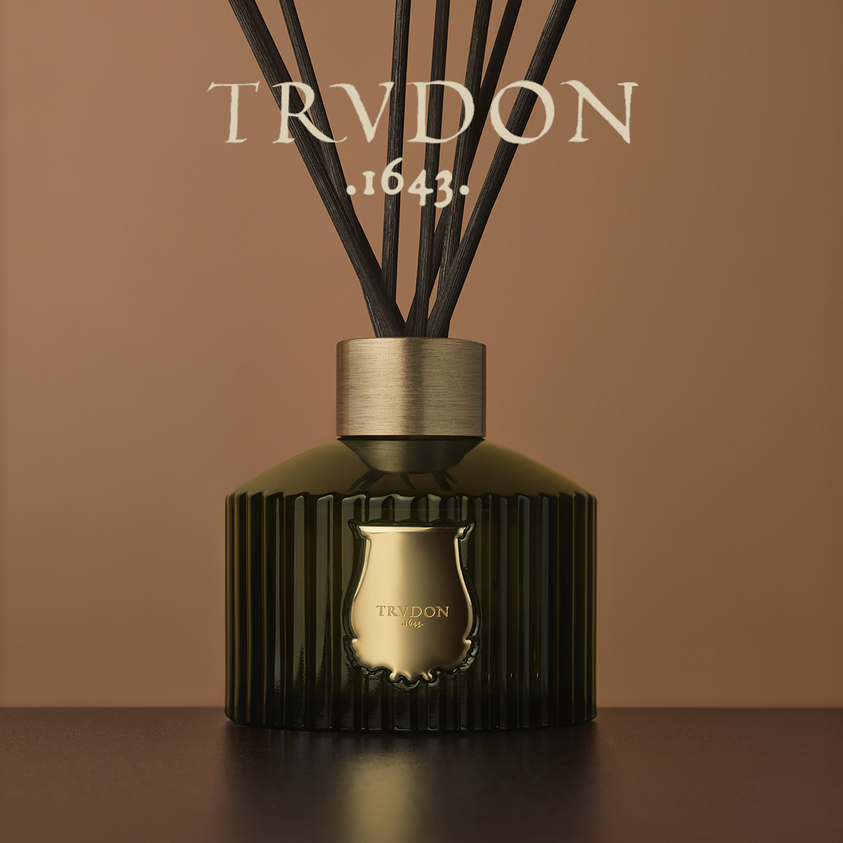 特价！法国香氛无火扩香trudon