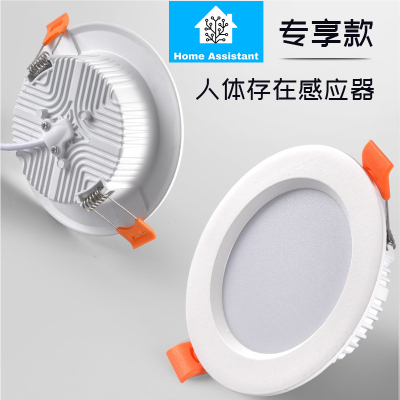 Home Assistant人体存在感应器  HA服务器专享专用 HomeAssistant