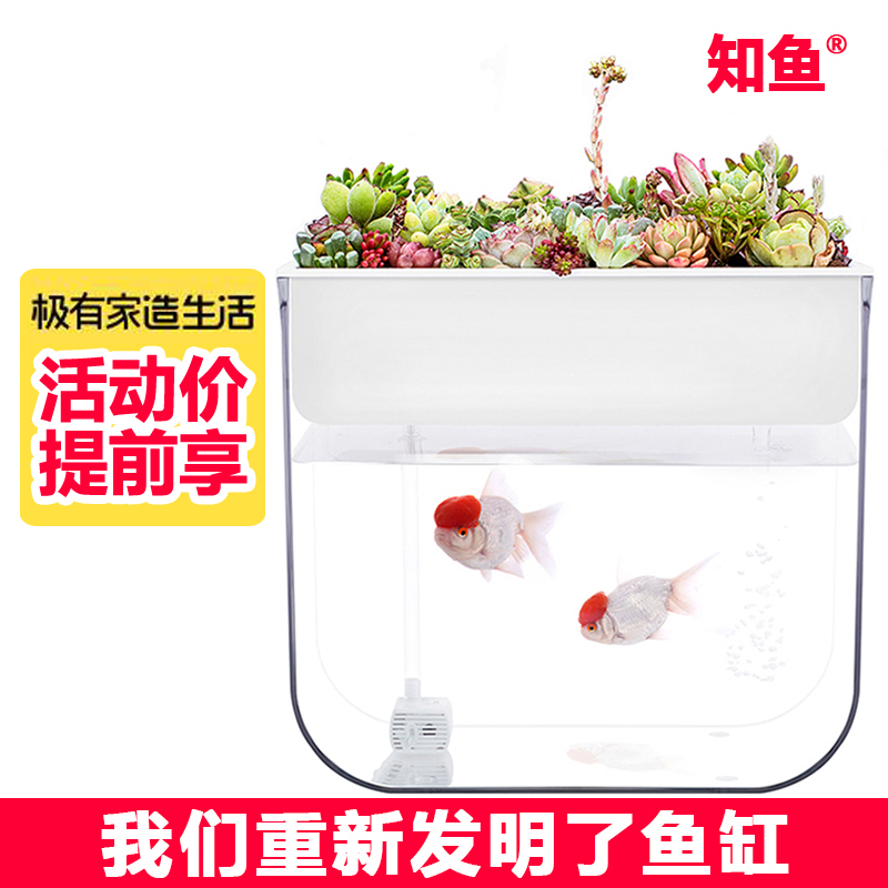 知魚小型客廳水族箱裝飾玻璃造景免換水超白生態家用桌面塑料魚缸