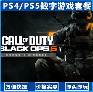 使命召唤21（国行送备份盘）中文单机