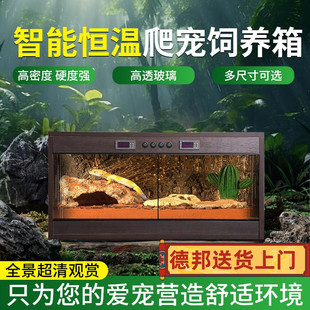 实木双温控陆龟蛇守宫鬃狮蜥蜴芦丁鸡智能恒保温爬宠虫玻璃饲养箱