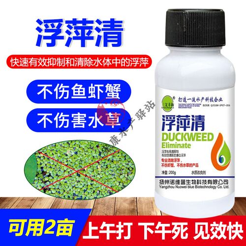 浮萍清水产养殖除浮萍药浮萍速消浮萍一喷灵一扫光不伤水草鱼虾蟹