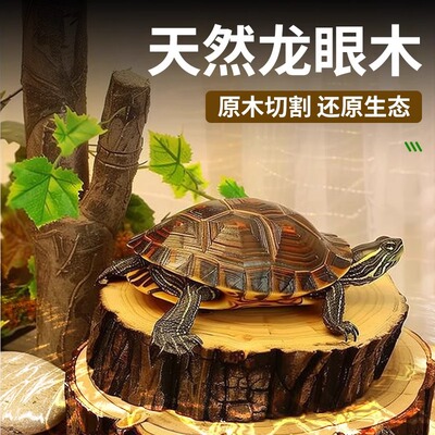 乌龟天然龙眼木晒台龟缸造景沉木摆件免煮龙眼绿叶养龟休息晒背台