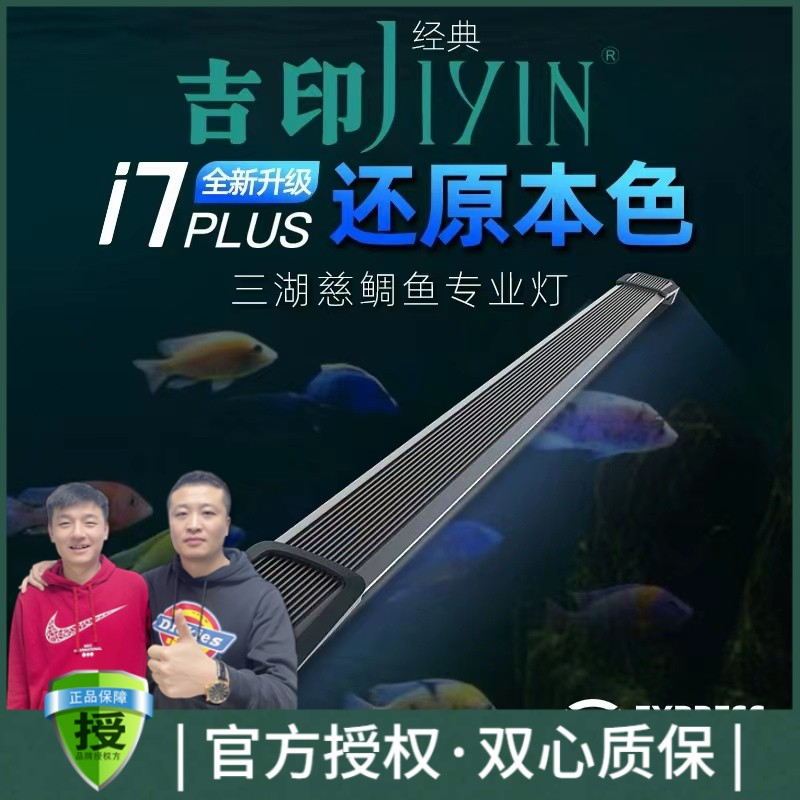 吉印三湖慈鲷鱼灯鲷鱼观赏鱼专用发色灯增色增艳专业自然光防水灯