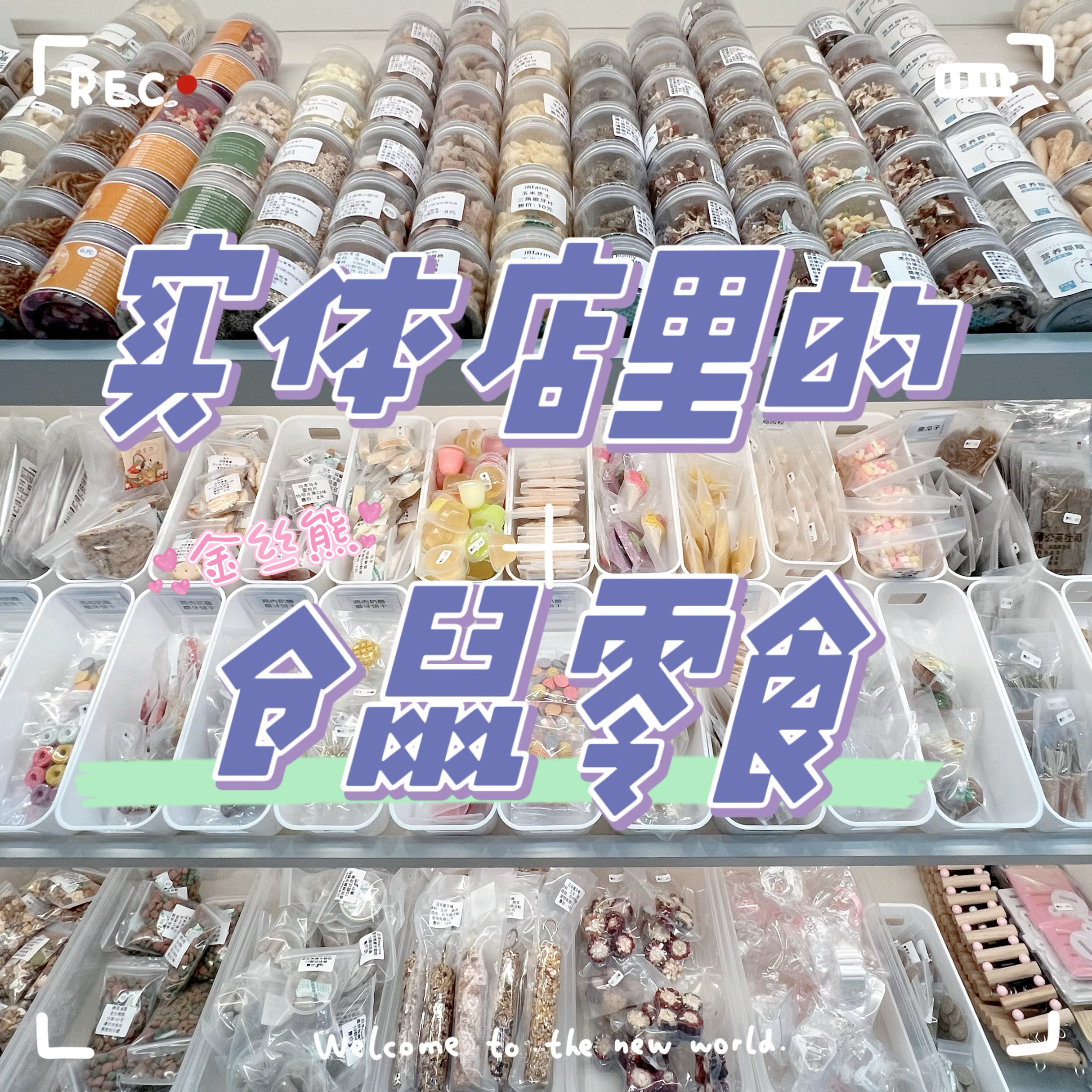 昆虫蛋白补充实体店品质