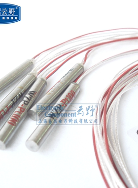 【高科美芯】泊热电阻WZP-PT100 温度传感器 4MMX30MM 线长50CM