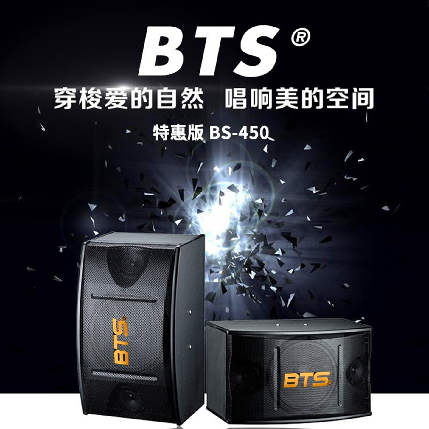 韩国BTS家庭KTV音箱舞台演出卡拉OK包房箱10寸金永点歌机音箱套装
