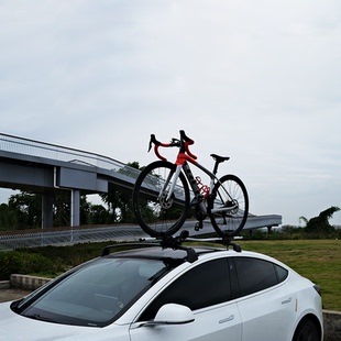 车顶行李箱特斯拉行李架Model3 毛豆3车顶架车载行李横杆自行车架