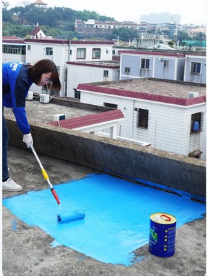 新品青龙全能防水胶屋顶平房楼顶堵漏 饮用水池鱼塘泳池补漏专用