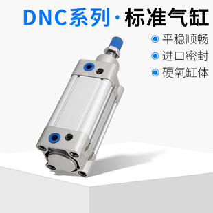 200 100 SE气缸可调标准气缸 125 DNC 150 175