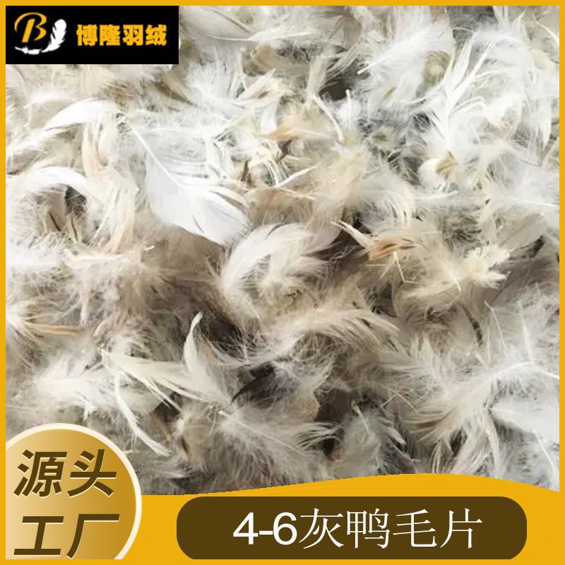 水洗4-6灰鸭毛片羽绒填充物
